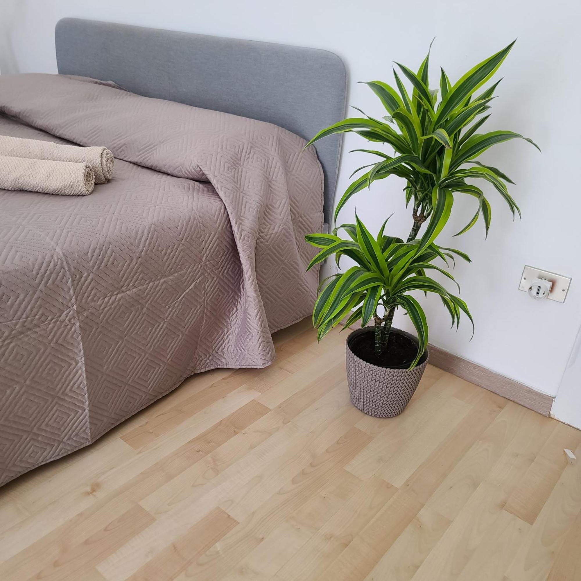 Mariamora Apartment Bari Exteriér fotografie