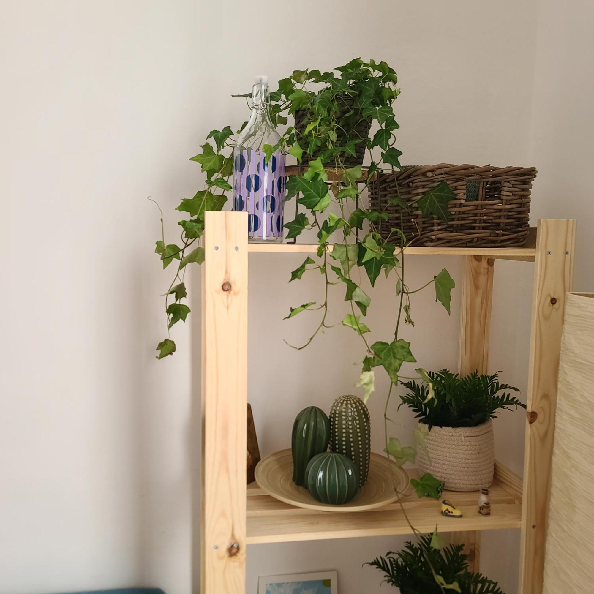 Mariamora Apartment Bari Exteriér fotografie
